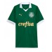 Camiseta Palmeiras Estevao Willian #41 Primera Equipación 2024-25 manga corta